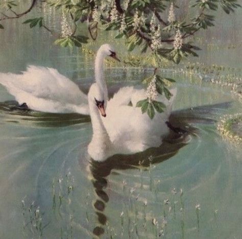 Light Academia Aesthetic, Rennaissance Art, Ethereal Aesthetic, Swan Song, Fairy Aesthetic, Green Theme, Ethereal Art, Dreamy Art, Jolie Photo