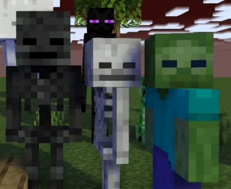 Monster School Minecraft, Minecraft Character Skins, Monster School, Minecraft Characters, School Videos, Minecraft Designs, Zombie, Skeleton, Minecraft