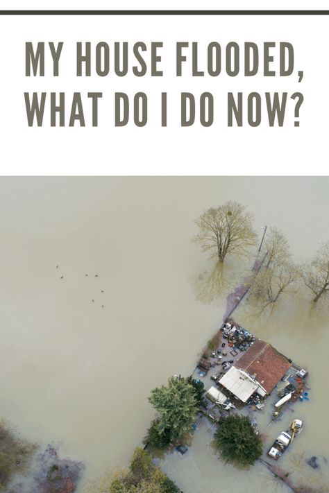 Don't panic when disaster strikes! Explore essential steps after a flood. My House Flooded, What Do I Do Now? #SafetyFirst #DisasterRecovery Leaky Toilet, What Do I Do Now, Flood Prevention, Flooded House, Wade In The Water, Water Flood, Sunken City, Flood Damage, Plumbing Emergency