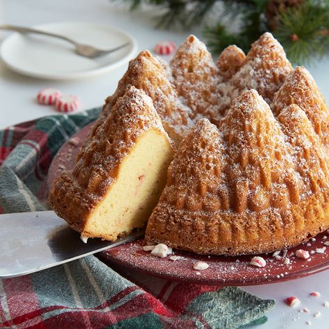 Nordic Ware Bundt Pan Recipes, Nordic Ware Recipes, Christmas Bundt Cake Recipes, Christmas Bundt Cake, Bundt Pan Recipes, Gingerbread Cake Recipe, Summer Baking, Dessert Stand, Gingerbread Cake