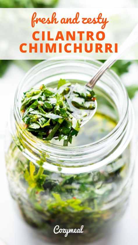 Cilantro chimichurri busts with fresh herbaceous flavor. This chimichurri with cilantro, parsley, and Thai basil gets its lip-smacking zesty flavor from a blend of red wine vinegar and lemon juice. Cilantro Chimichurri, Cilantro Parsley, Meal Ideas Healthy, Chimichurri Recipe, Prep Food, Recipes Meal Prep, Healthy Tasty Recipes, Thai Basil, Arts And Crafts Style