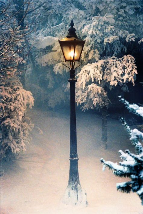 21 DIY Ways To Make Your Child's Bedroom Magical Narnia Lamp Post, Narnia 3, Mini Toile, Cs Lewis, Chronicles Of Narnia, Narnia, Lamp Post, Fairy Tales, Favorite Movies