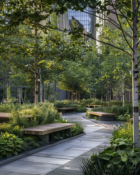 Entry Plaza Design, Landscape Architecture Aesthetic, Urban Landscape Design Public Spaces, Urban Farm Design, Linear Landscape Design, Softscape Landscape, Office Landscape Design, Urban Forest Design, Healing Garden Design