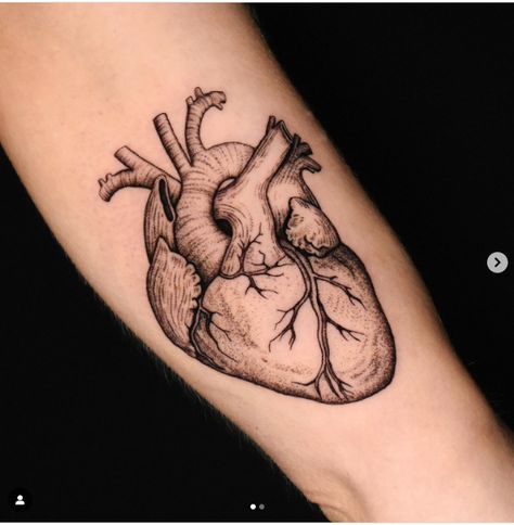 Anatomic Heart Tattoo, Anatomic Heart, Black Widow Tattoo, Tattoo Off, Anatomical Heart Tattoo, Single Needle Tattoo, Heart Tattoo Designs, Anatomical Heart, Thanks To Everyone