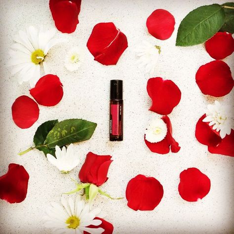 Doterra Rose, Bradford On Avon, Beauty Therapy, Rose Essential Oil, Amazing Life Hacks, Physical Wellness, Green Life, Doterra Essential Oils, A Rose