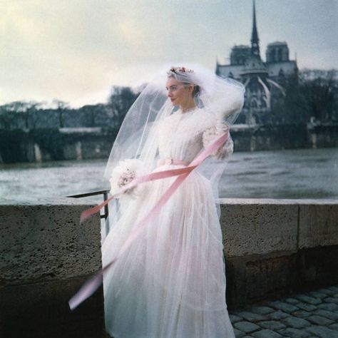 June 1 1955 Carlo Ponti, Inspiration For The Day, Pink Sash, Paris Model, Vogue Editorial, Notre Dame Cathedral, Beautiful Beach Wedding, Most Beautiful Images, Vintage Bride