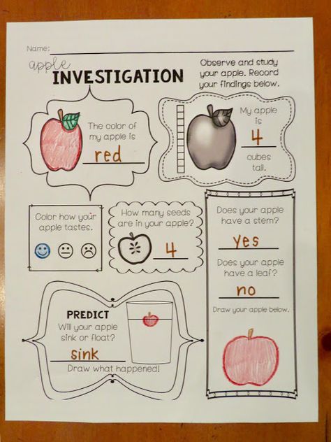 Apple Sauce Classroom, Apple Science Experiments Kindergarten, September Second Grade, First Grade Science Lessons Plans, Apple Investigation First Grade, Apple Science Experiments 2nd Grade, Apple Unit Second Grade, Apple Investigation Preschool Free Printable, Apple First Grade