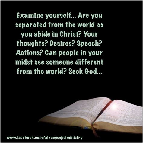 Are you separated from the world as you abide in Christ? Your thoughts? Desires? Speech? Actions? Can people in your midst see someone different from the world? Seek God.. examine yourself.. #davidwilkerson #worldly #examine #repent #seekgod http://sermons.worldchallenge.org/en/node/29723 Examine Yourself, Matthew 5 4, Abide In Christ, Seek God, Mens Haircuts, Bible Facts, Mens Haircuts Fade, Seeking God, God Loves You