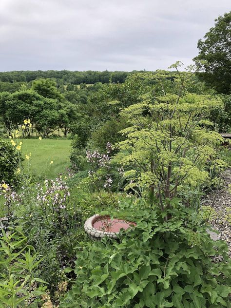 Garden Visit: Helen O'Donnell's Laissez-Faire Garden in Vermont The Bunker, O Donnell, Apartment Garden, Planting Seeds, Mulch, Plan Your Trip, Garden Beds, Vermont, Outdoor Spaces