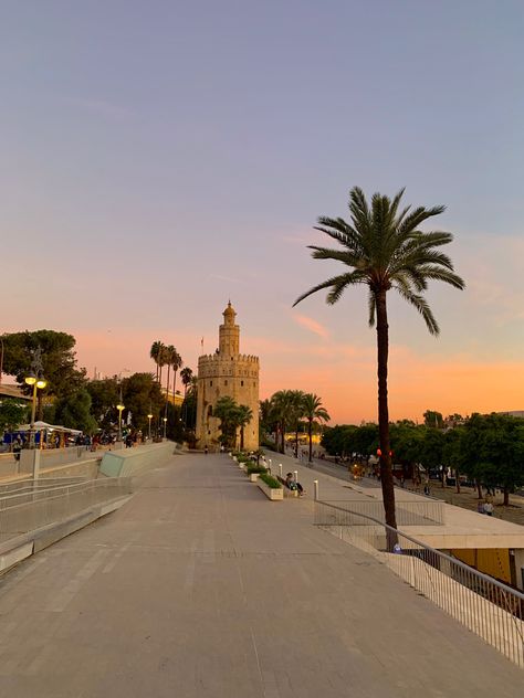 Seville Spain Aesthetic, Andalucia Aesthetic, Seville Aesthetic, Sevilla Aesthetic, Fashion Books Aesthetic, Spain Seville, College Abroad, Flowers Sunset, Spain Aesthetic