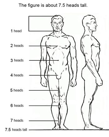 7 Figure Drawing Proportions to Know Figure Drawing Female, Drawing Proportions, Figure Drawing Tutorial, Male Figure Drawing, Animals Tattoo, Body Art Photography, Human Figure Drawing, Body Proportions, Art Simple