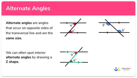 Circle Formula, Maths Revision, Gcse Maths Revision, Angles Math, Alternate Angles, Math Formula Chart, Line Lesson, Formula Chart, Gcse Maths