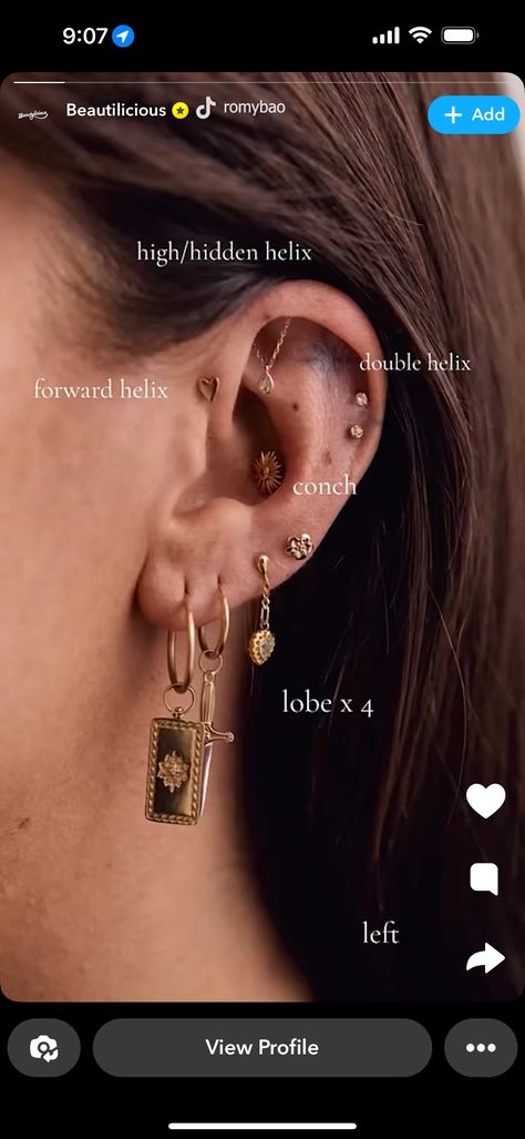 Earings Piercings Names, Ear Curation Silver, Ear Mapping Piercing, Ear Piercings Placement Chart, Ear Piercing Chart, Kylie Jenner Ear Piercings, Ear Piercing Names, Piercings Chart, Piercing Guide