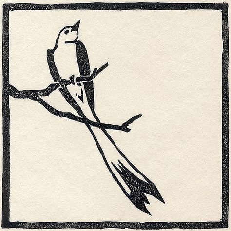 Scissor-tailed flycatcher, Texas. 3" x 3" on kozo-shi. By Marissa Buschow Scissor Tailed Flycatcher, Northern Mockingbird, Bird Brain, State Birds, Texas State, When You Know, Get A Tattoo, Show Up, Bird Art