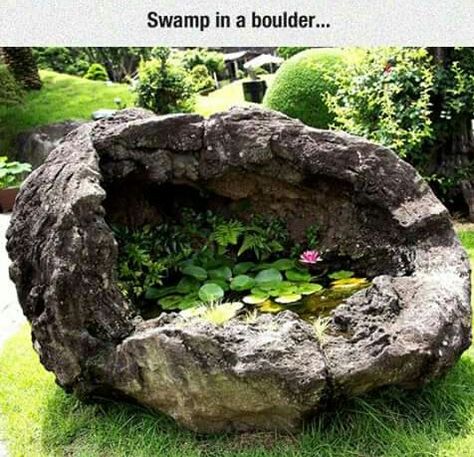 swamp in a boulder, want this in my yard Tanaman Air, Taman Air, Landscape Designs, Water Features In The Garden, Garden Structures, Shade Garden, Water Lilies, Rock Garden, Ponds