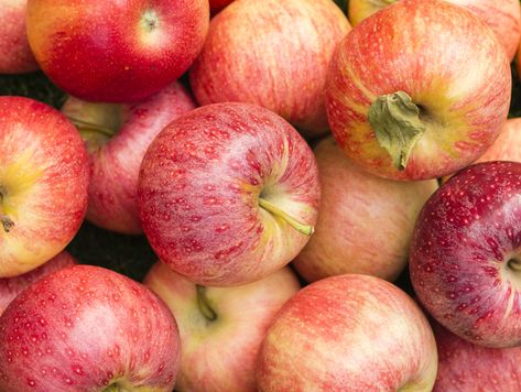 Apple Images, Gala Apples, Fiber Rich, Delicious Fruit, Dietary Fiber, Calorie Diet, Fruits And Vegetables, Apples, How Many