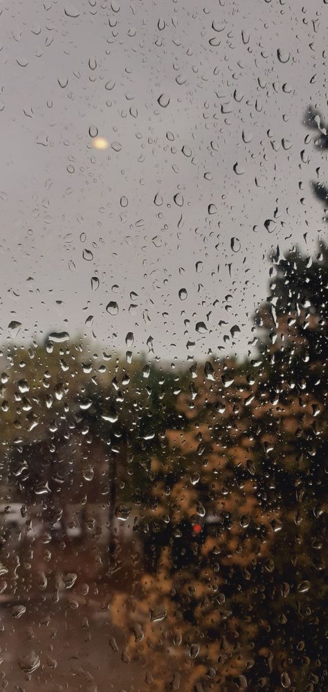 Rainy Day Screensaver, Rainy Day Aethestic, Rainy Autumn Wallpaper, Ruby Sunday Aesthetic, Rainy Day Asethic, Rainy Sky Wallpaper, Rainy Day Wallpaper Aesthetic, Rainy Backgrounds, Rainy Aesthetics