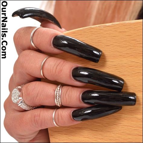 My current nails all polished in Black from our photo shoot last evening! . If you enjoy looking at pictures of my nails please visit www.OurNails.com to see more! . #nails #longnails #nailswag #naillife #notd #nailsoftheday #prettynails #frenchmanicure #feet #nailfetish #claws #longtoenails #sexynails #nailselfie #nailstagram #nailsofinstagram #nails2inspire #nailart #nailsdone #nailslove #ilovenails #longnailsdontcare #like4like #footfetish #frenchnails #nails_page #kylienails #kylie #toena... Long Black Nails, Kylie Nails, Long Red Nails, Long Toenails, Long Fingernails, Long Square Nails, Curved Nails, Hot Blue, Exotic Nails