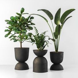 Indoor plant Tree Planters, Black Planters, Big Vases, Apartment Plants, Green Furniture, Interior Plants, Office Plants, Black Vase, Anime Backgrounds Wallpapers