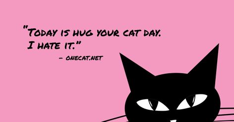 June 4th Hug Your Cat Day, I Hug You, Funny Postcards, Cartoon Cats, Cat Holidays, Cat Cards, Interesting Information, Window Displays, Black Babies