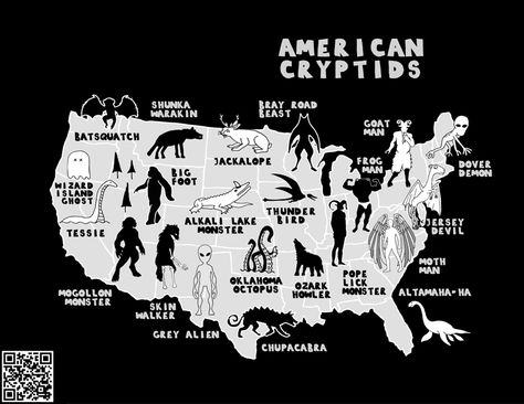 Dover Demon, Skin Walker, Bitcoin Money, Us Poster, Map Of The United States, Ohio Map, Grey Alien, Bigfoot Sasquatch, Money Success