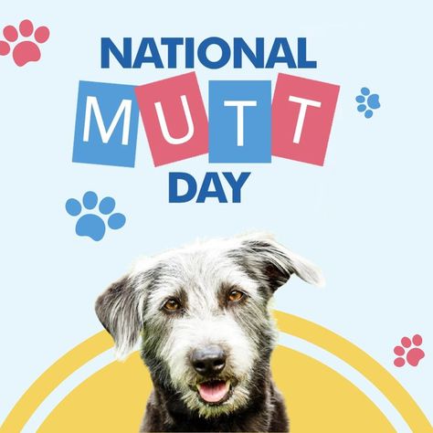 National Mutt Day National Mutt Day, Animal Shelter Volunteer, One For All, Special One, Very Happy, Animal Shelter, With Love, Dogs, Animals