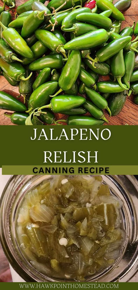 This jalapeno relish canning recipe is easy to make with your jalapeno peppers.  It is a delicious and spicy relish that is great for tacos, burritos, dips, hot dogs, pasta salad. It would also be great with eggs or even just on crackers. It is a very tasty relish that can be used to spice up any food and add a whole new dimension. Jalapeno Pickle Relish Recipe Canning, Canning Jalepenos Peppers, Jalapeno Pepper Recipes, Jalapeno Relish Recipe Canning, Jalepeno Recipes For Canning, Canned Jalapeno Recipes, Relish Canning Recipes, Jalapeno Canning, Jalapeno Relish Recipe