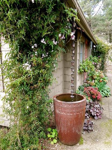 5 Curb Appeal Tips for a beautiful front yard Rain Garden Design, Front Yard Flowers, Rain Chain, Water Collection, Rainwater Harvesting, Dry Creek, Rain Barrel, Rain Water Collection, Rain Garden