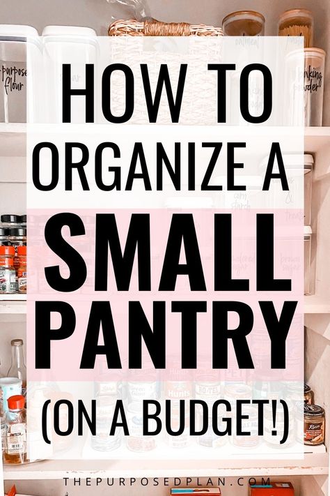 Organisation Station, Corner Pantry Organization, Pantry On A Budget, Small Pantry Closet, Pantry Small, Pantry Organization Ideas Shelves, Pantry Closet Organization, Shallow Pantry, Organize A Small Pantry