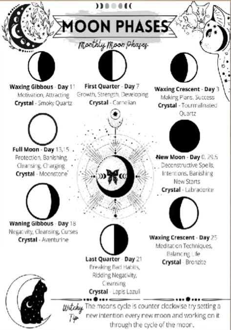 Printable Beginner Witchcraft Basics Guide, Basics Of Magick Set 2, Grimoire Sheets 8 Grimoire Pages Ideas, Moon Phases Witchcraft, Digital Book Of Shadows, New Moon And Full Moon, 2023 Bujo, Roman Pantheon, Beginner Witchcraft, White Witchcraft, Moon Pics