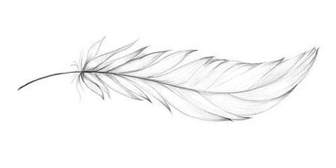 Two Feather Tattoo Design, Small Feather Tattoo Design, Dainty Feather Tattoos For Women, Feather Line Tattoo, Fine Line Feather Tattoo Design, Parrot Feather Tattoo, Falling Feathers Drawing, Minimalist Feather Tattoo, Fine Line Feather Tattoo