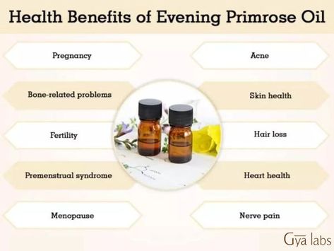 health benefits of evening primrose oil Primrose Benefits, Evening Primrose Oil Pregnancy, Primrose Oil Benefits, Benefits Of Evening Primrose Oil, Benefits Of Evening Primrose, Evening Primrose Oil Benefits, Oil On Skin, Pregnancy Acne, Acne Vulgaris