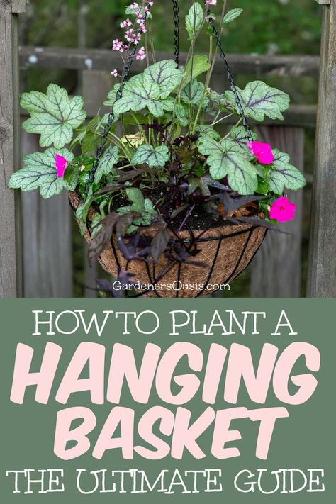 Hanging baskets are beautiful way to add some color to your porch, balcony or deck. But they can be hard to keep alive. Learn all of our tips and tricks on how to plant a hanging basket that will bloom all summer long. Deck Planter Ideas, Flower Box Ideas, Hanging Plants Outdoor, Deck Planters, Porch Plants, Jardim Diy, Plants For Hanging Baskets, Flower Baskets, Hanging Flower Baskets