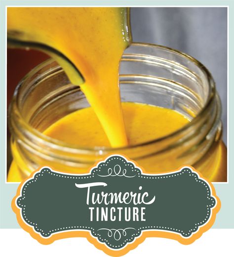 Make turmeric tincture at home from fresh root Turmeric Tincture Benefits, Turmeric Tincture How To Make, Turmeric And Ginger Tincture, Tumeric Tincture Recipe, Ginger Root Tincture, How To Store Turmeric Root, Tumeric Root Uses, Tumeric Tincture, Turmeric Tincture