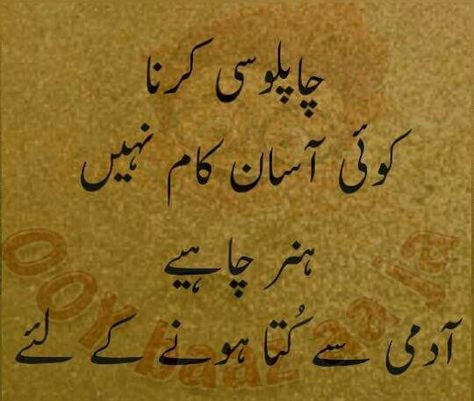 . Good Manners Quotes, Manners Quotes, Inspirational Quotes In Urdu, Urdu Funny Quotes, Impress Quotes, Islamic Quotes On Marriage, Urdu Love Words, Poetry Inspiration, Urdu Words