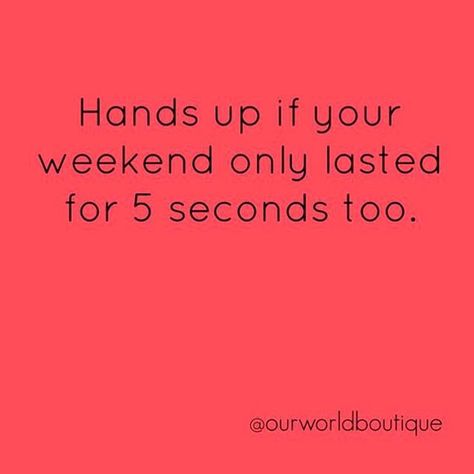 It's already Sunday night ...the weekend always goes by so fast! Don't blink or you've probably missed it Weekend Inspiration, Monday Monday, Weekday Quotes, Monday Humor, Weekend Quotes, Teacher Memes, Monday Quotes, Sunday Quotes, Work Jokes