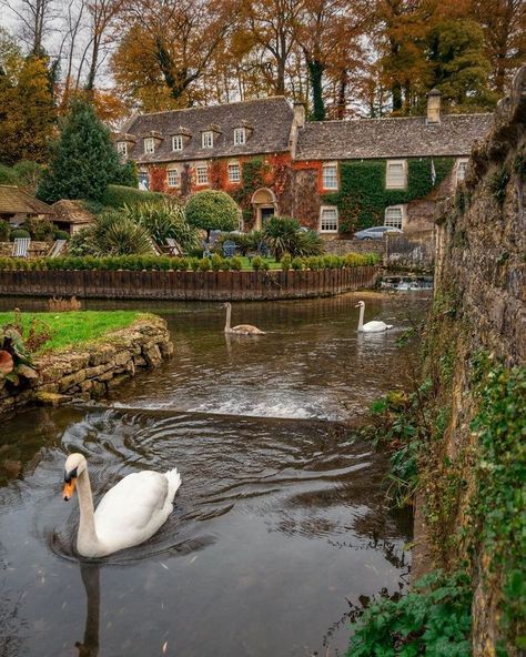 Bibury, Gloucestershire, England House On The Water, Triple Chocolate Cake, England Aesthetic, Triple Chocolate, Village Life, Filming Locations, Beautiful Places To Travel, The Village, Post Office