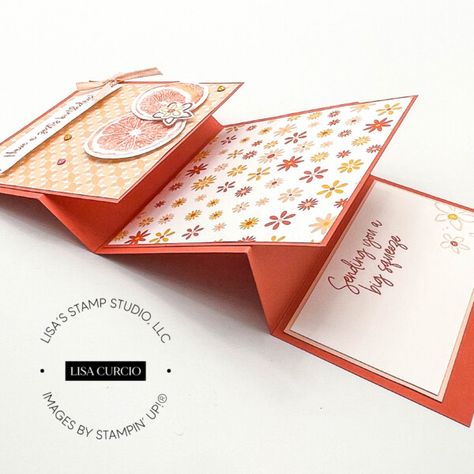 Lisa Curcio, Greeting Card Gift Box, Card Making Ideas Easy, Christmas Gift Tags Handmade, Accordion Cards, Tri Fold Cards, Card Making Ideas, Card Making Tutorials, Fancy Fold Cards