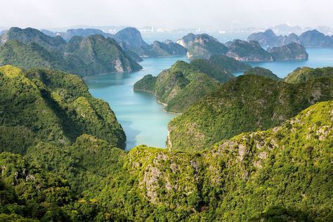 Jungle Hike, 7 Natural Wonders, Cat Ba Island, Komodo Island, Monkey Island, Largest Waterfall, Ha Long Bay, Ha Long, Halong Bay