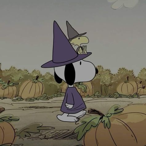 Pumpkins, Witch, Snoopy, Halloween