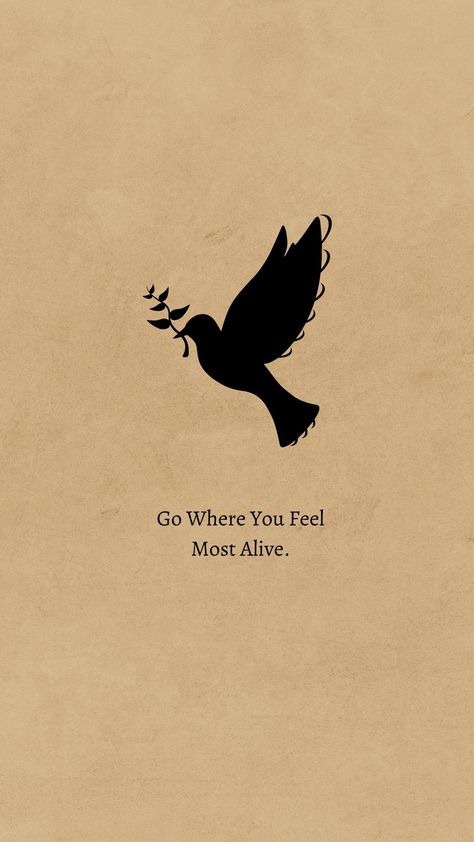 Wallpapers 
Quotes 
Life
Freedom Go Where You Feel Most Alive Quotes, Go Where You Feel Most Alive, Alive Quotes, Feeling Alive, Magical Quotes, Staying Alive, Social Work, Memes Quotes, Woman Quotes