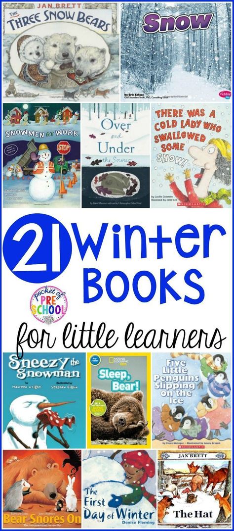 Winter Lesson Plan, Pocket Of Preschool, Snowman Theme, Winter Theme Preschool, Winter Unit, Penguin Theme, Winter Activities Preschool, Winter Classroom, Winter Books