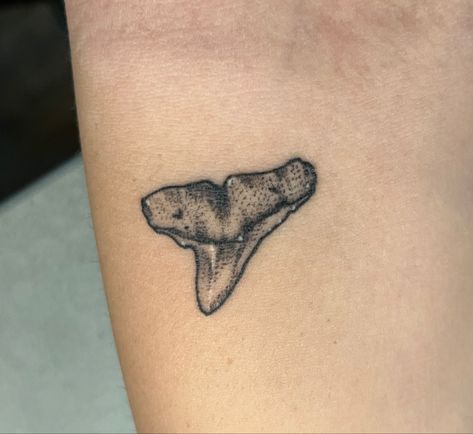 Hammerhead Shark Tooth Tattoo, Shark Tooth Tattoo, Hammerhead Shark Tattoo, Tooth Tattoo, Shark Tattoo, Shark Tattoos, Hammerhead Shark, Shark Tooth, Little Tattoos