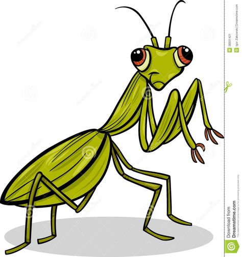 Mantis Insect Cartoon Illustration Stock Vector - Image: 38931421 Cute Praying Mantis, Praying Mantis Drawing, Mantis Drawing, Insect Character, Insect Cartoon, Mantis Insect, Bug Cartoon, Birdhouse Gourds, Friendly Animals