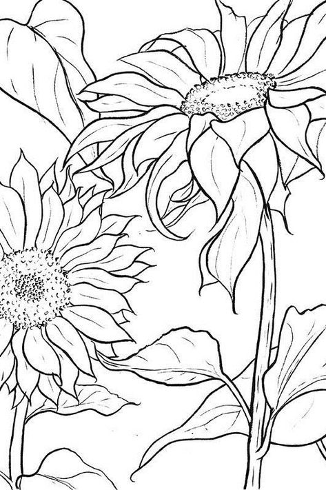 Sunflower Outline, Sunflower Coloring Pages, Sunflower Drawing, Flower Art Drawing, The Odyssey, Sunflower Art, Flower Coloring Pages, Colouring Books, Coloring Book Pages