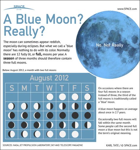 Moon Infographic, Astronomy Terms, Full Blue Moon, Moon Science, Full Moon Rising, Space Unit, Moon Photos, Moon Rise, Blood Moon