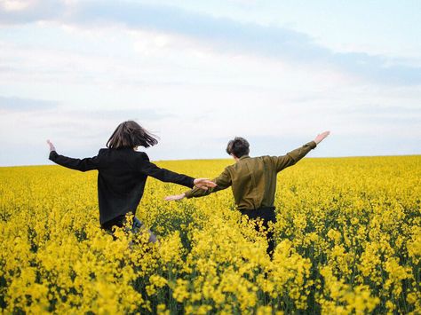 Field Aesthetic, Flower Field, Yellow Flowers, Sign Up, Yellow, Flowers