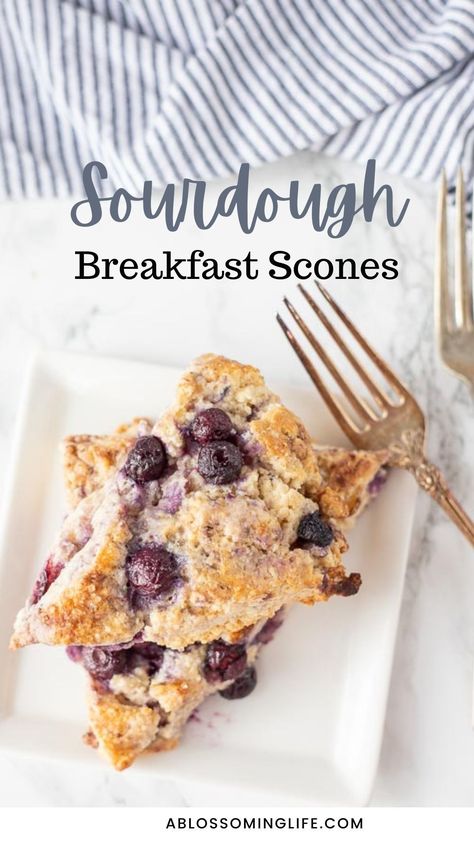 Scones Sourdough, Blackberry Scones, Sourdough Scones, Sourdough Breakfast, Breakfast Scones, Simple Sourdough, English Scones, Sourdough Recipe, Scones Easy