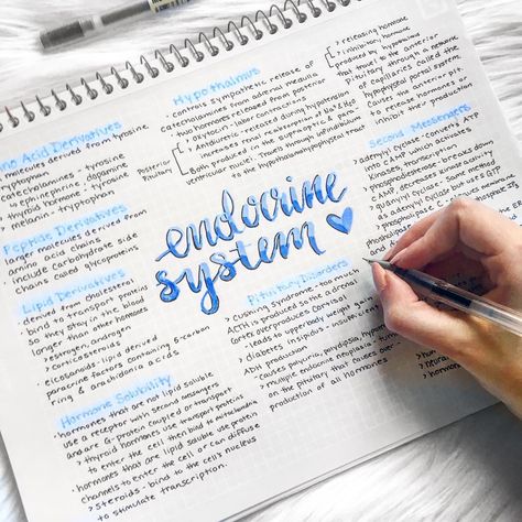 beautiful in blue endocrine system study notes ★·.·´¯`·.·★ follow @motivation2study for daily inspiration Studie Hacks, Studera Motivation, Improve Handwriting, College Notes, Bullet Journal Notes, Revision Notes, School Organization Notes, Study Organization, Biology Notes