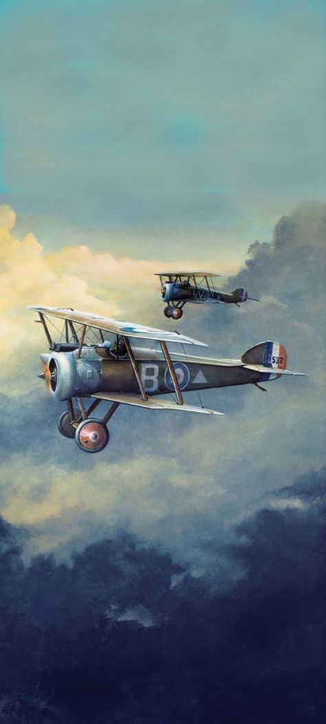 Ww1 Artwork, Ww1 Airplanes, Ww1 Art, Airplane Painting, Sopwith Camel, Ww1 Aircraft, Old Planes, Ww 1, Aircraft Painting